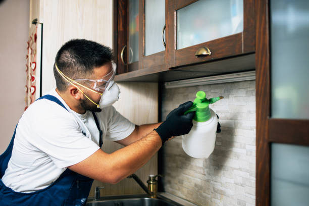 Best Commercial Pest Control Services  in Shingle Springs, CA