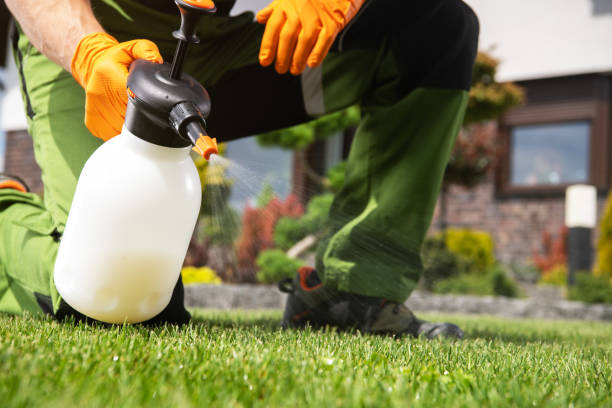 Wildlife Control Services in Shingle Springs, CA