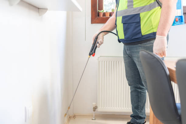 Professional Pest Control in Shingle Springs, CA