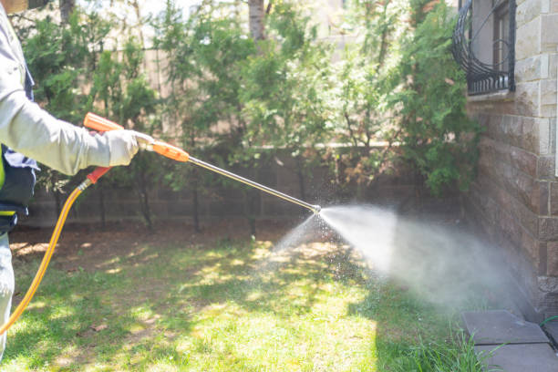 Best Mosquito Control Services  in Shingle Springs, CA