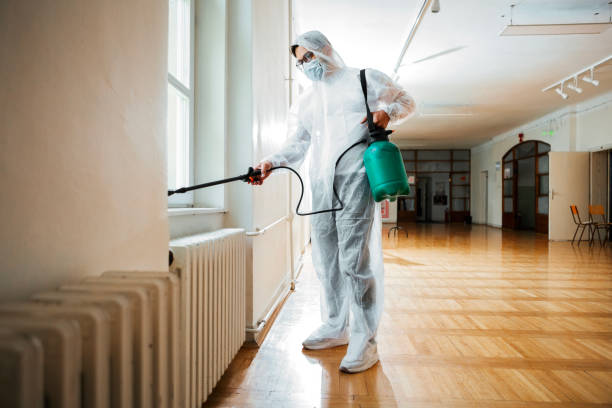 Best Affordable Pest Control Services  in Shingle Springs, CA